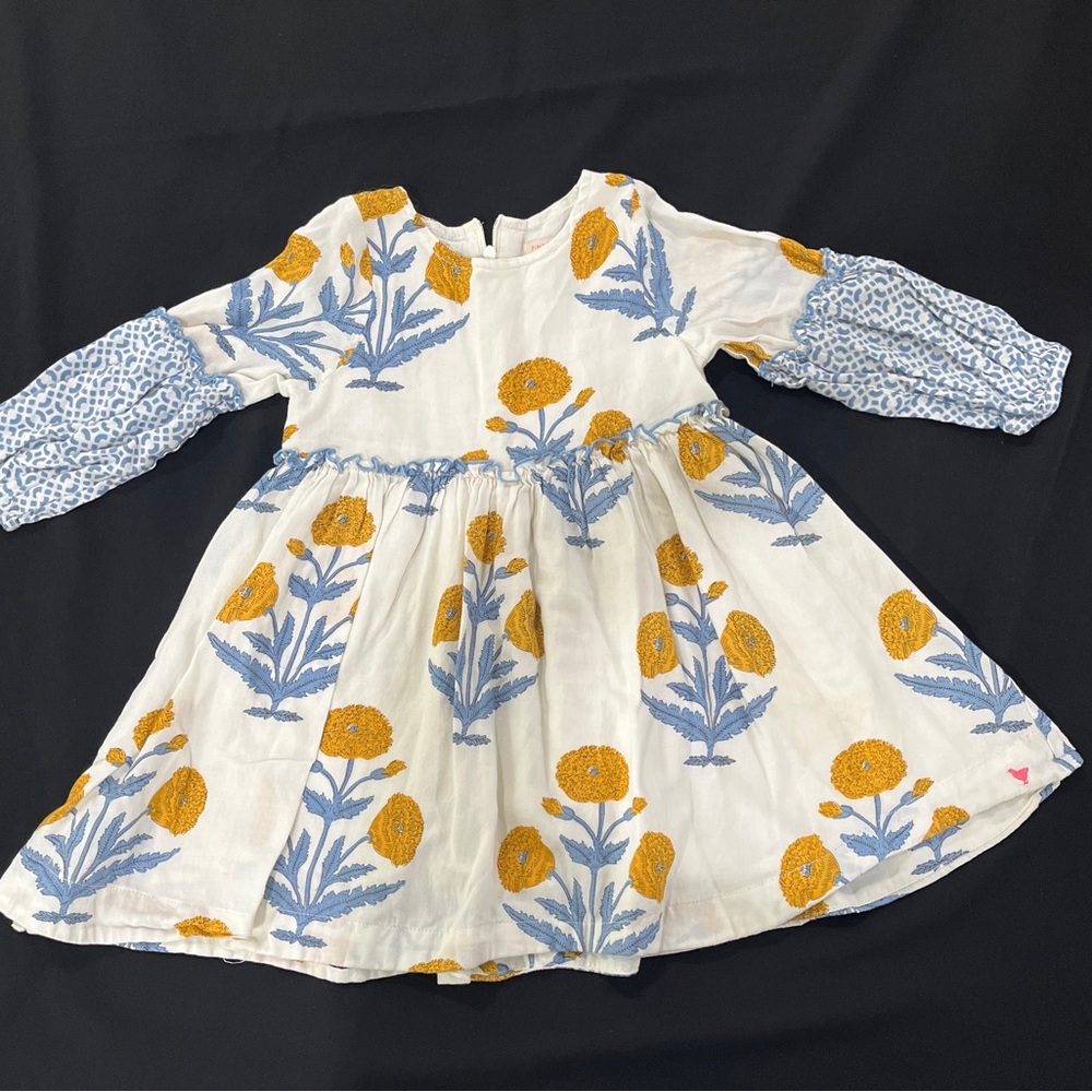 Pink Chicken Dress (worn once)